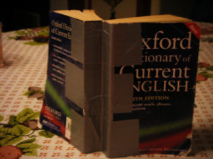 Duct Taped Dictionary