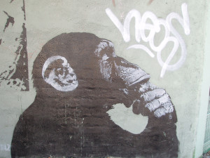 Banksy monkey